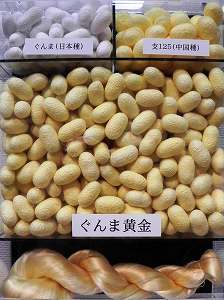 20110519 takasaki (4).jpg